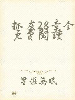 抓灰28章全部免费阅读封面