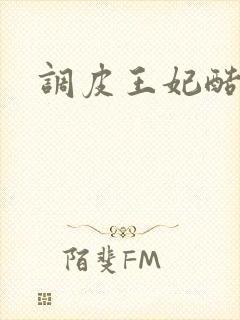 调皮王妃酷王爷