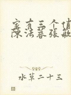 家有三个俏媳妇陈法蓉张敏