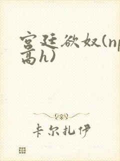 宫廷欲奴(np高h)封面