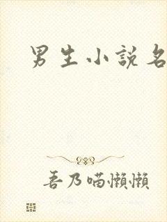 男生小说名字封面