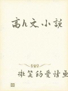 高h文小说