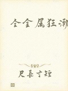 全金属狂潮小说封面