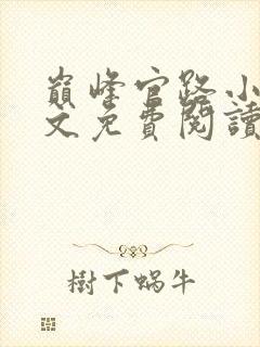 巅峰官路小说全文免费阅读无弹窗封面