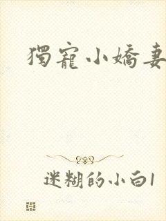 独宠小娇妻