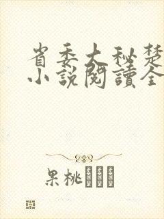 省委大秘楚东恒小说阅读全文