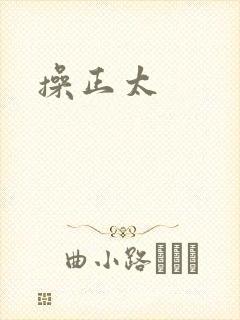 操正太