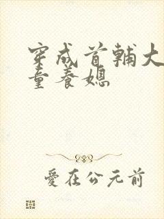 穿成首辅大人的童养媳