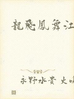 龙飞凤舞江一龙封面