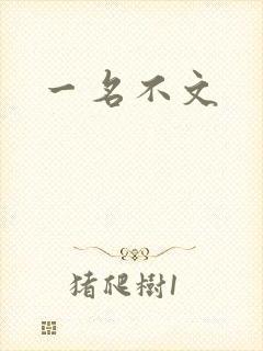 一名不文