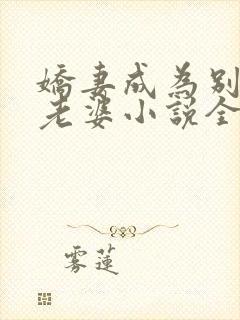 娇妻成为别人的老婆小说全文阅读免