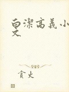 白洁高义小说全文