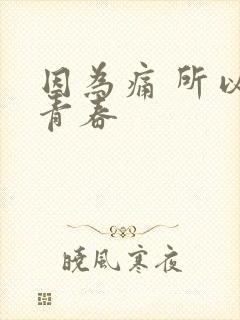 因为痛 所以叫青春