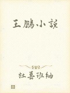 王鹏小说