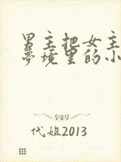 男主把女主拖进梦境里的小说