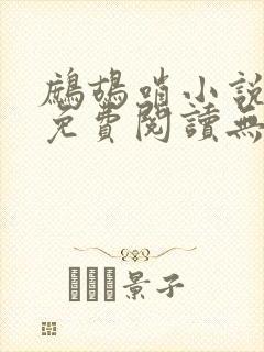 鹧鸪哨小说网站免费阅读无弹窗