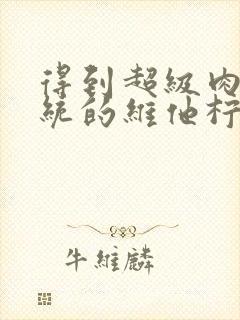 得到超级肉禽系统的维他柠檬茶