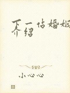 下一站婚姻剧情介绍