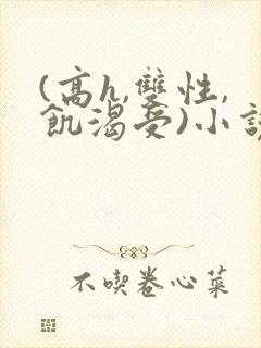 (高h,双性,饥渴受)小说