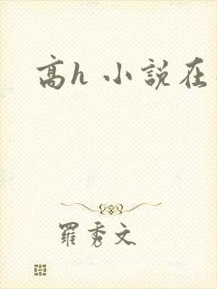 高h 小说在线