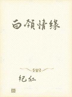 白领情缘