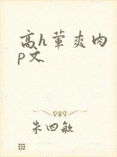 高h荤爽肉〈np文