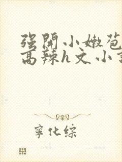 强开小嫩苞h文高辣h文小说