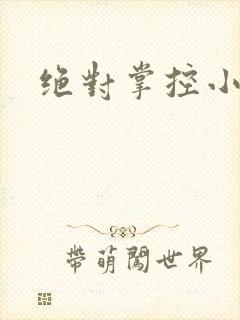 绝对掌控小说