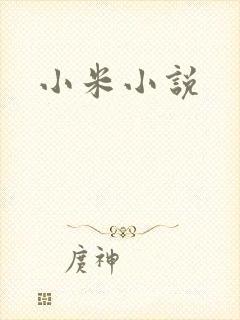 小米小说