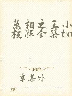 万相之王小说精校版全集txt