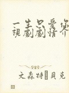 一生只爱你 电视剧剧情介绍