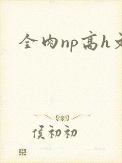 全肉np高h文