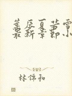 叶辰夏若雪孙怡最新章节小说下载封面