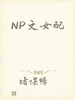 NP文女配封面