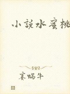 小说水蜜桃封面