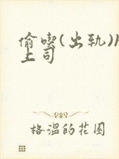 偷吃(出轨)h上司