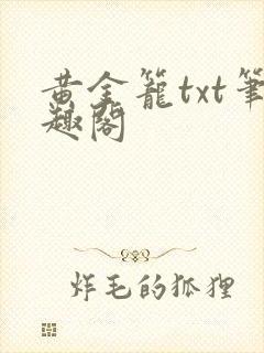 黄金笼txt笔趣阁封面