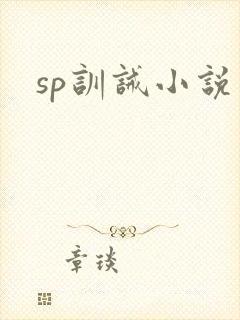 sp训诫小说