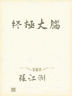 终极大脑封面
