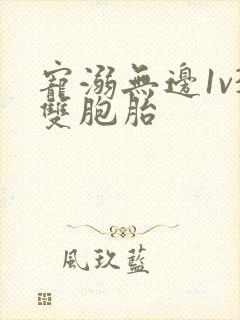 宠溺无边1v3双胞胎封面