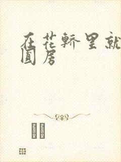 在花轿里就开始圆房封面