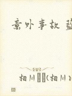 意外事故 蓝淋封面