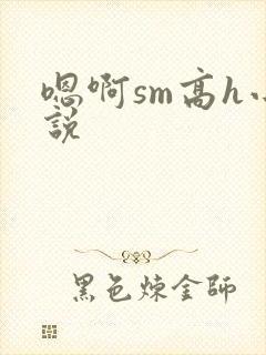 嗯啊sm高h小说