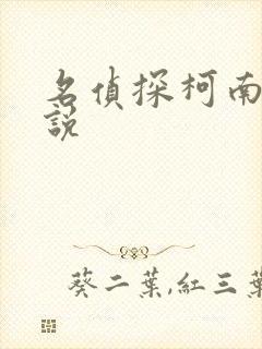 名侦探柯南h小说