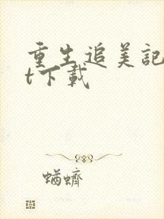 重生追美记txt下载