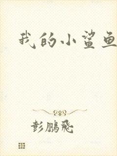 我的小鲨鱼封面