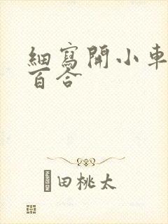 细写开小车车的百合