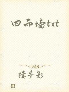 四面墙txt封面