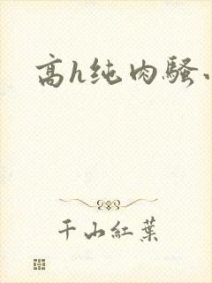 高h纯肉骚小说