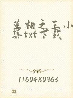 万相之王小说全集txt下载